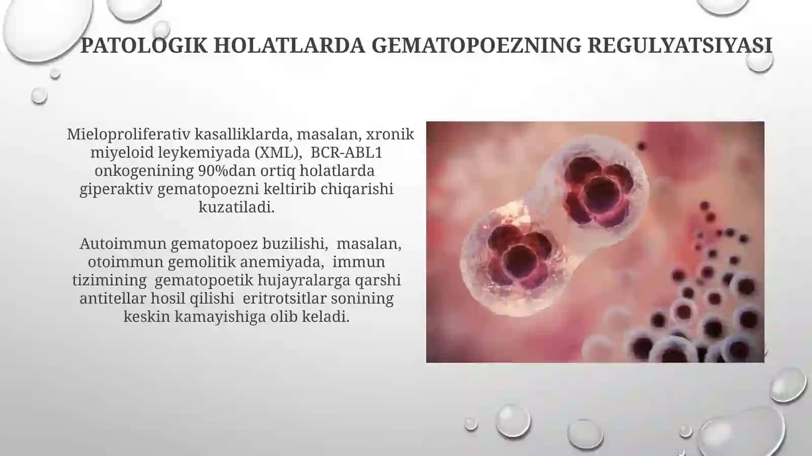 Hemopoezning genetik va epigenetik regulyatsiyasi 3