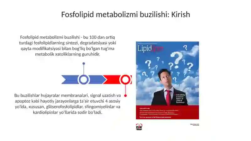 Fosfolipidlaralmashinuvibuzilishi 3