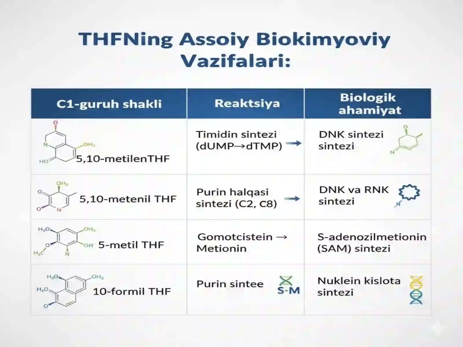 Mis B12 B9 yetishmovchiligida rivojlanadigan anemiyalarning biokimyoviy asoslari qon zardobida oqsillar aniqlashning klinik ahamiyati  prezentatsiya 3