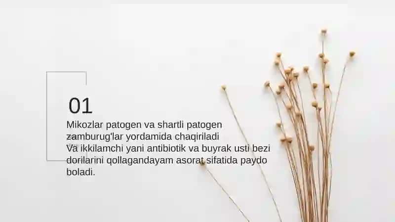 Zamburug'larga qarshi dorilarni vositalari 3