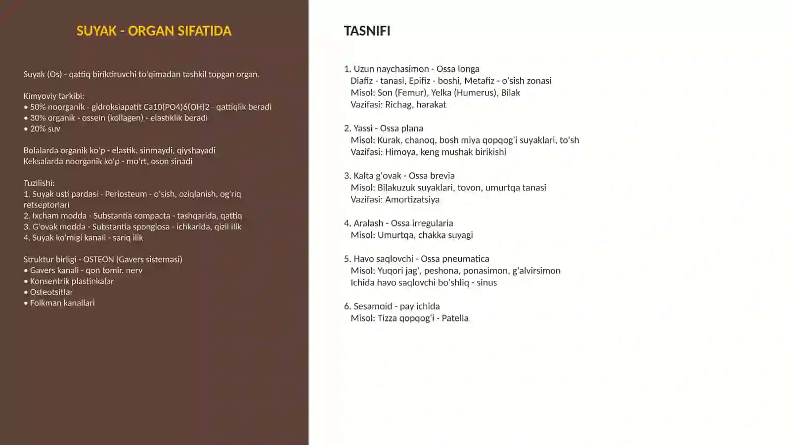 Osteologiya suyaklar haqida | Taqdimot 3