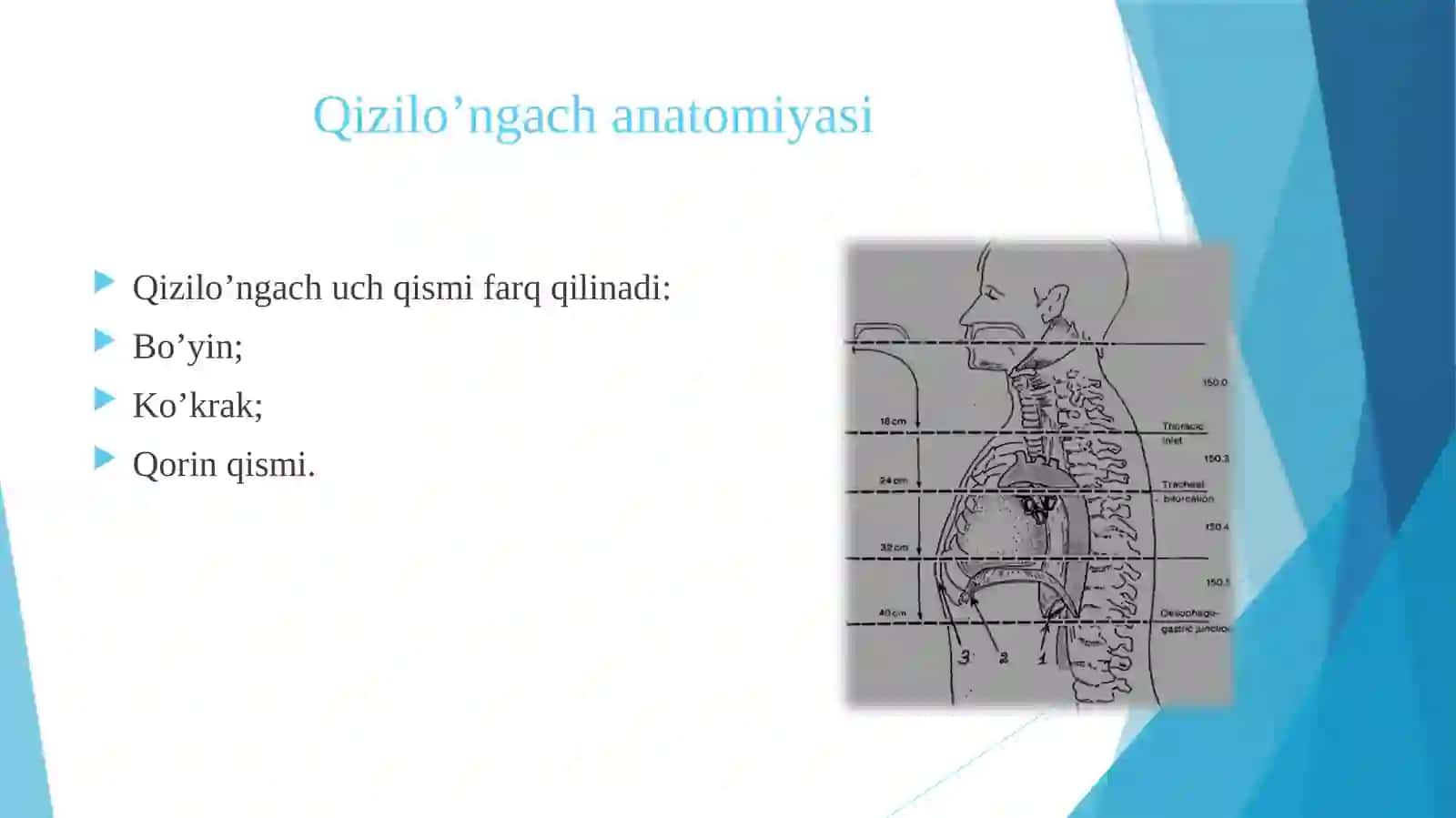oʻngach yarasi: etiologiyasi, klinikasi, diagnostikasi, og’iz boʻshligida oʻziga xos oʻzgarishl 3