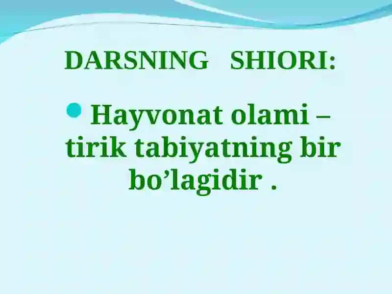 Dengiz sut emizuvchilari: kurakoyoqlilar va kitsimonlar turkumlari 3