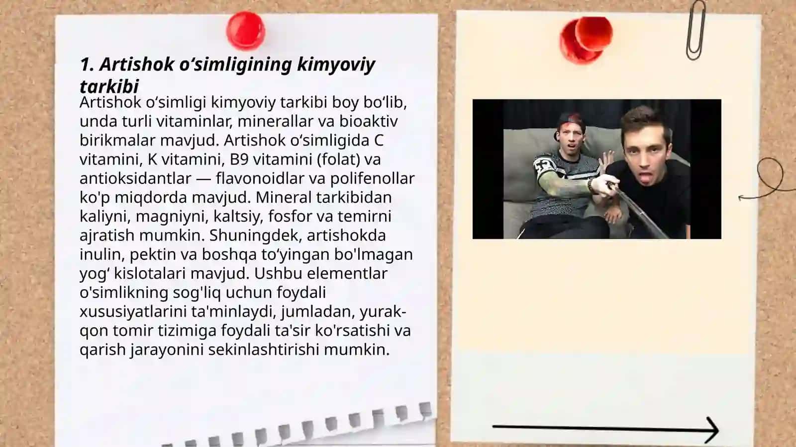 Artishok oʻsimligi xom ashyosidan flavonoidlami ajratib olish 3