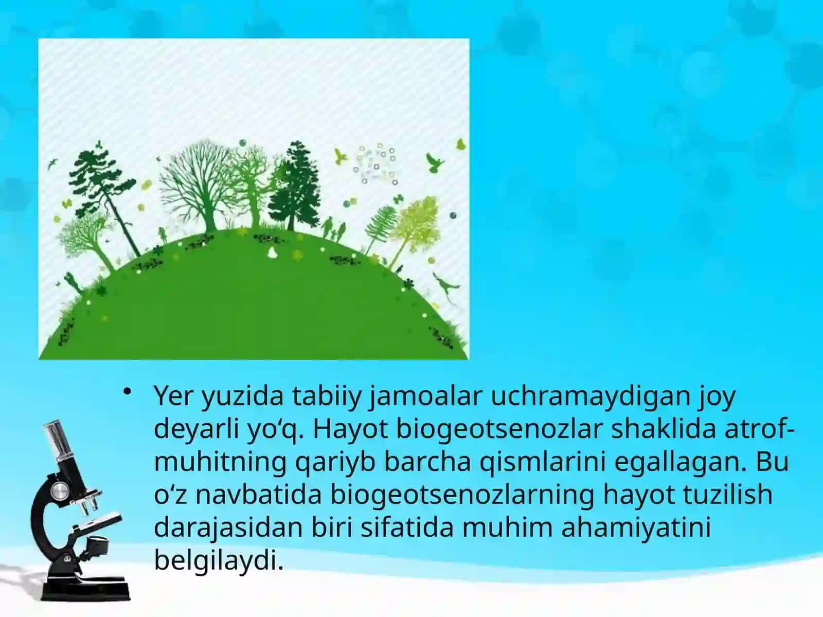 11-sinf Biologiya dars ishlanma. Hayotning ekosistema darajasi xususiyatlari. Biogeotsenoz - biologik sistema 3