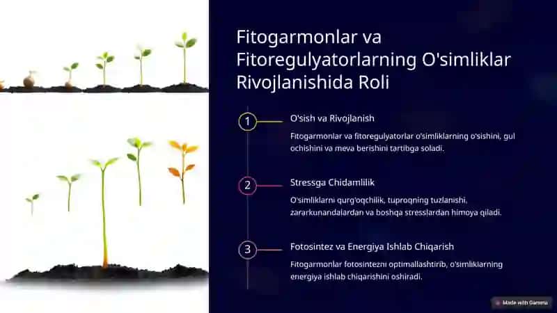 Fitogarmonlar va Fitoregulyatorlarni Olishning Biotexnologik Usullari 3