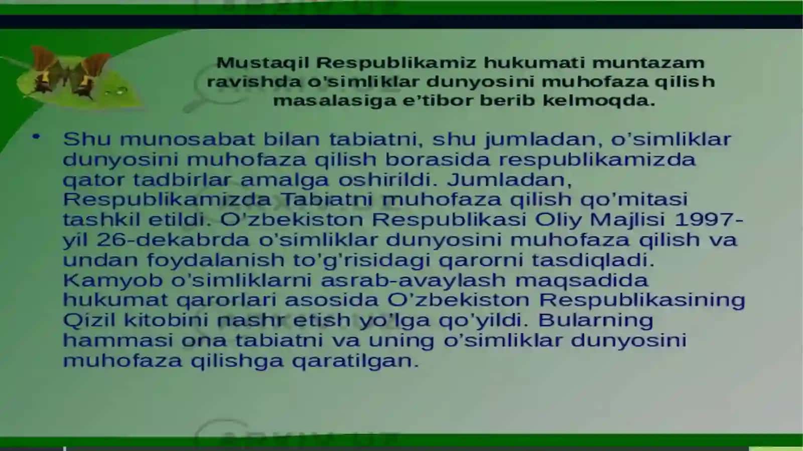 O'simlik 3