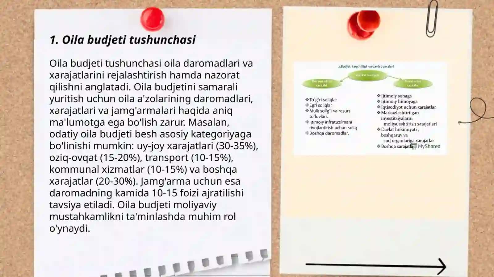 Oilani budjeti tushunchasi 3
