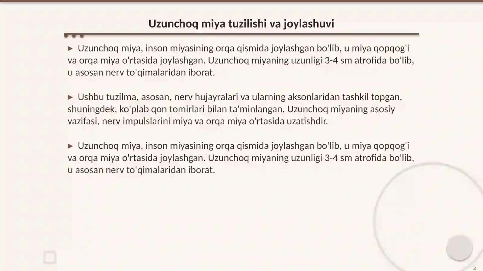 Uzunchoq miya anatomiya 3