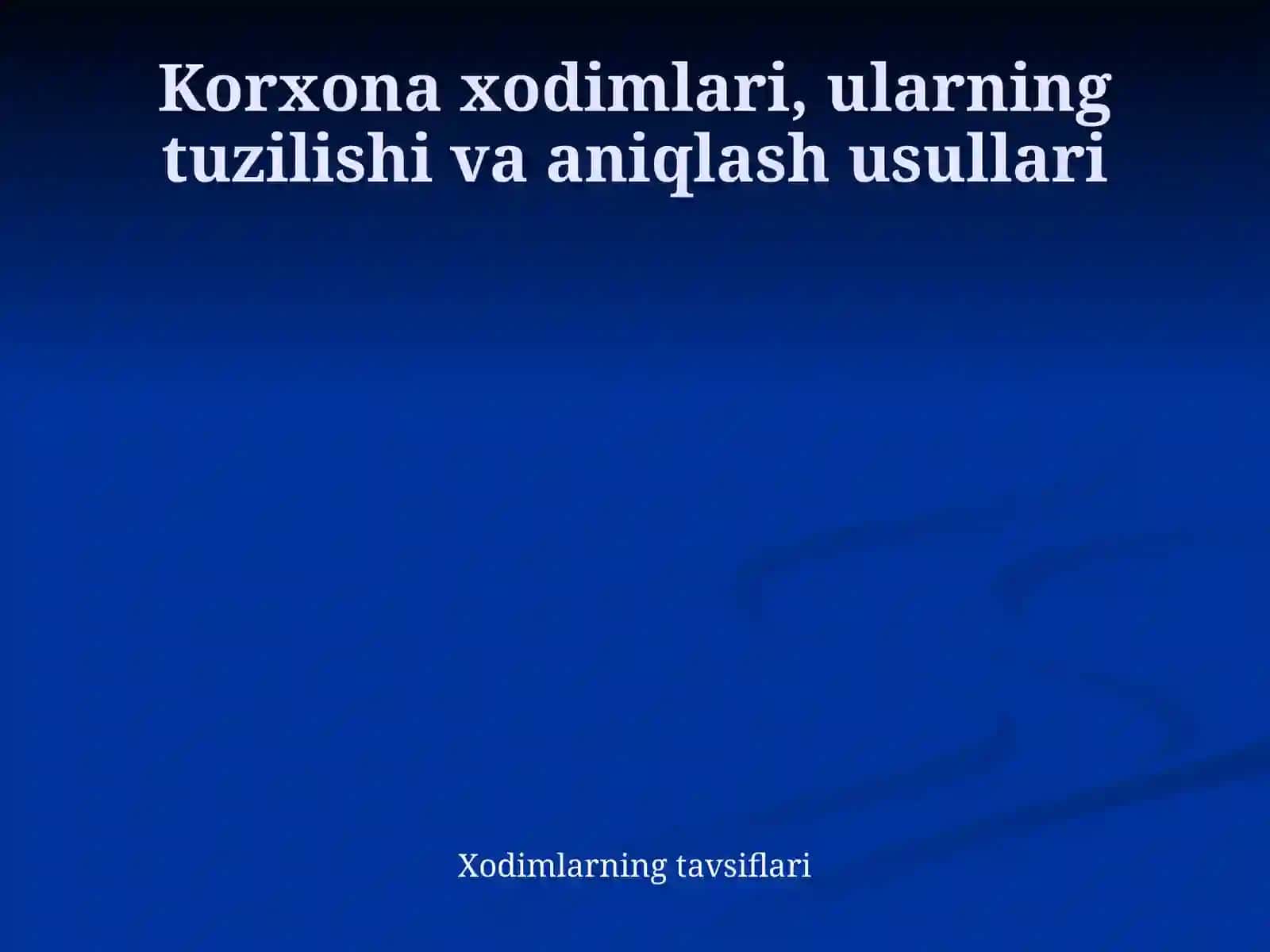 Iqtisodiyot - Shaxsiy korxona 3