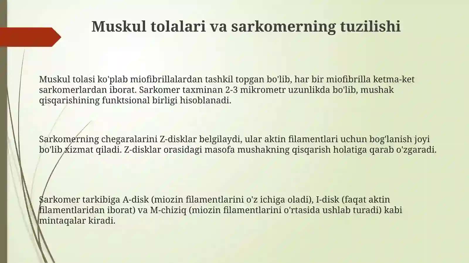 Mushak qisqarish mexanizmining morfologik asoslari 3
