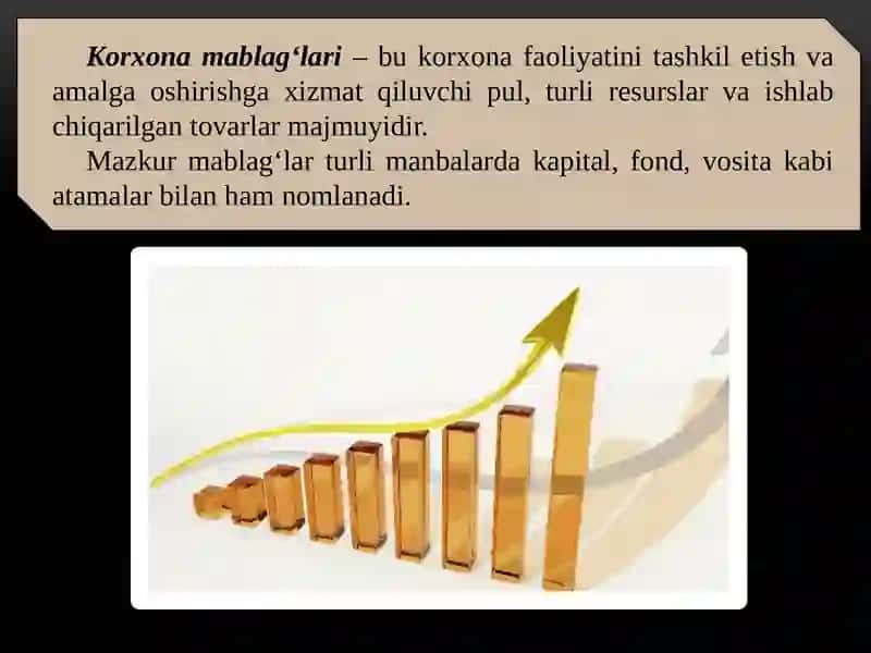 Korxona Mablag'lar 3