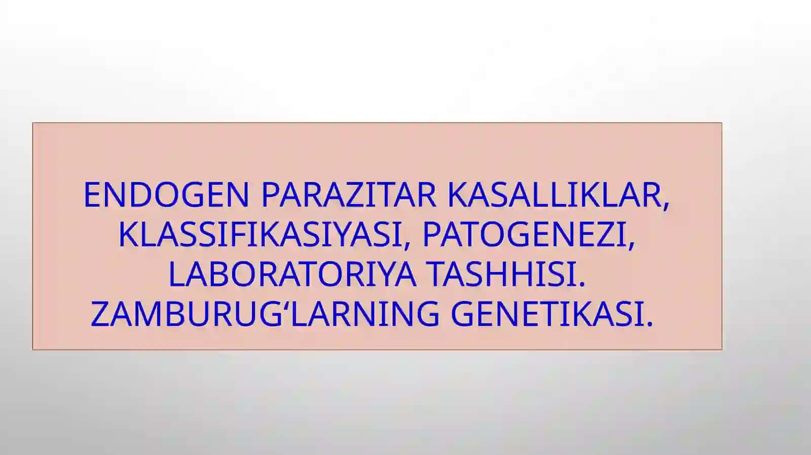 MUSTAQIL ISHI TERMIZ-2023 3