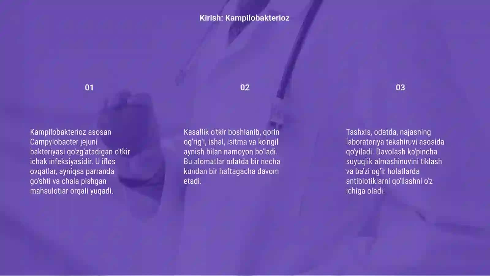 Kampilobakterioz 3