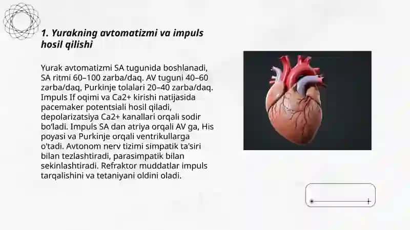 Yurak faoliyatini fiziologik xususiyatlari 3