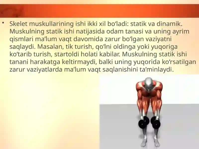 Muskullarning ishlashi 3