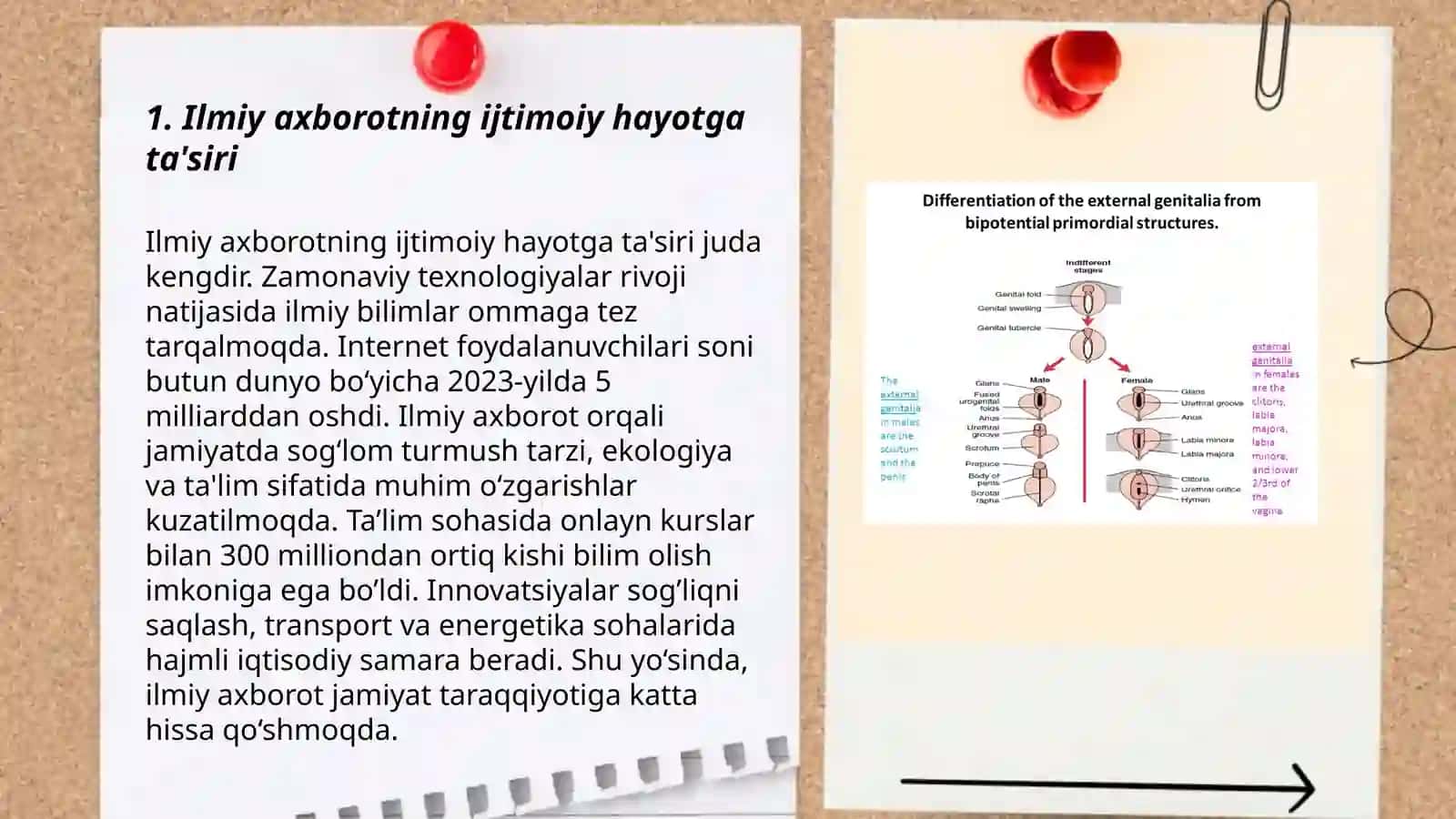 Ilmiy axborotning ijtimoiy hayotga ta'siri 3