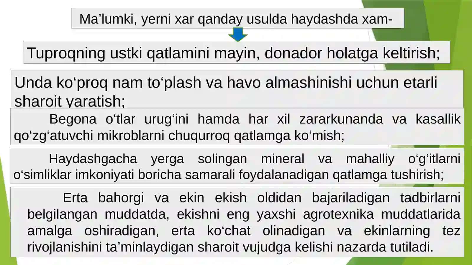 Kuzgi shudgor 3