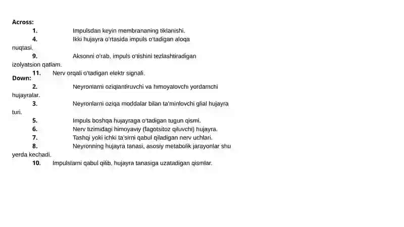 Nerv tizimi 3
