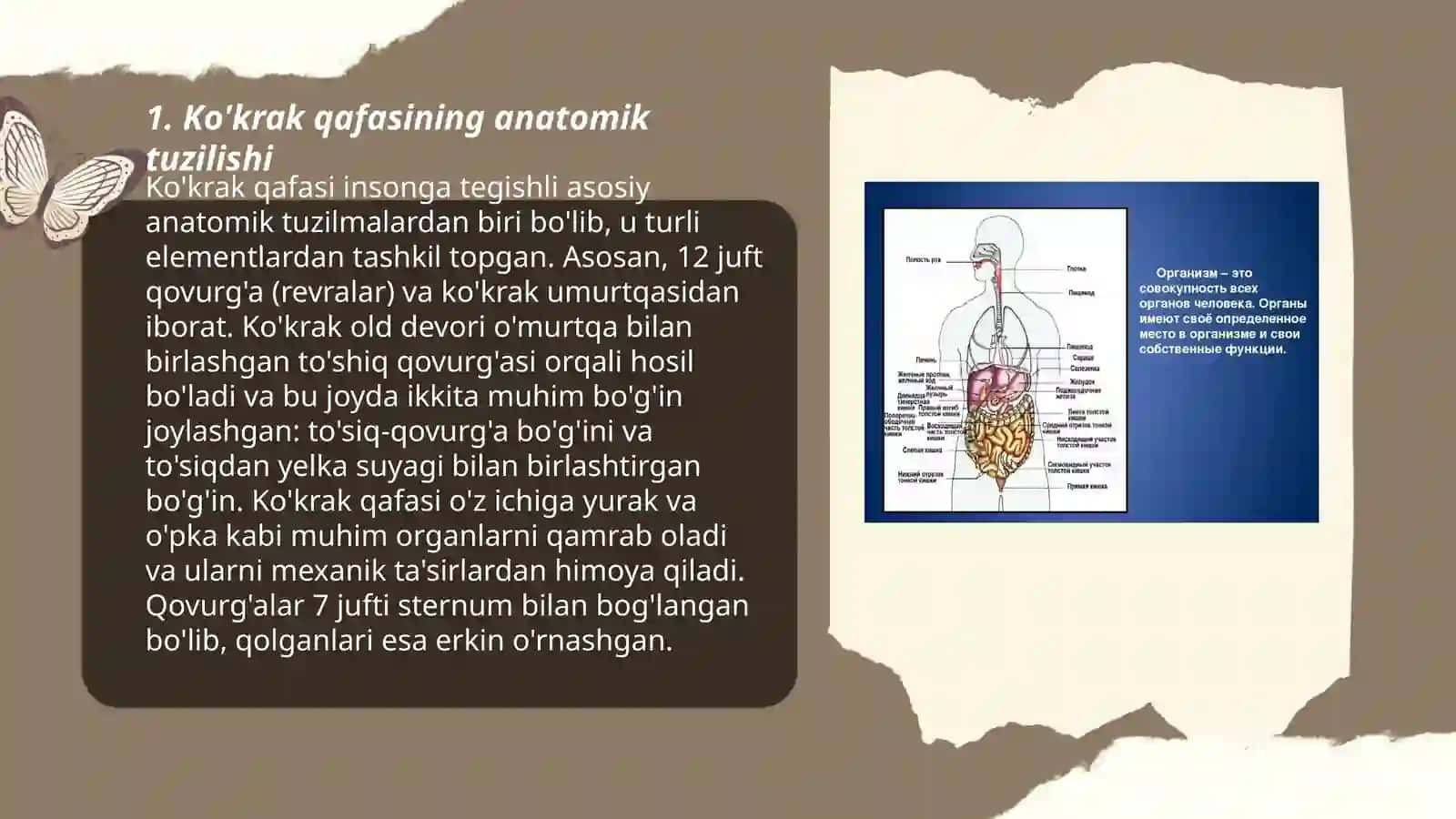 Ko'krak qafasi organlari jarohatlari 3