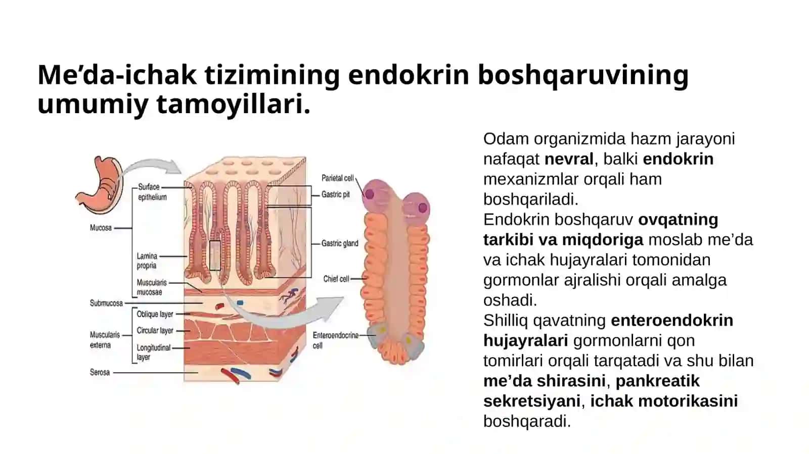 Davolashishifakulteti 3