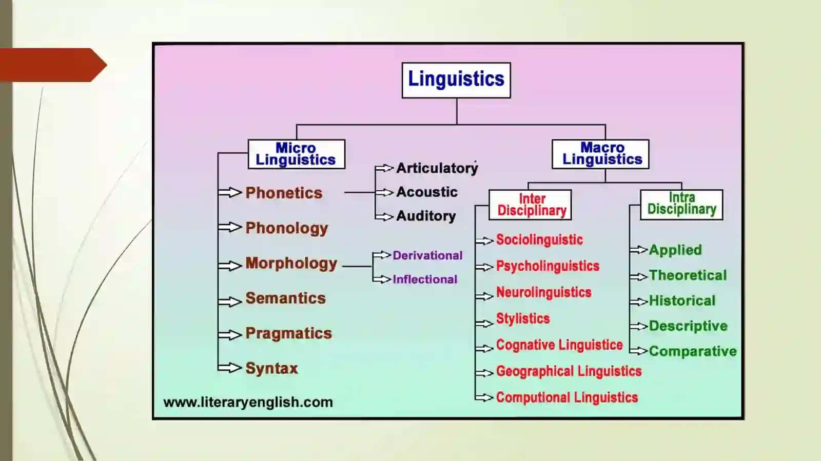 Contrastive linguistics 3