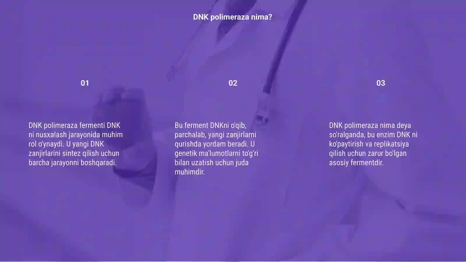 DNK polimiraza fermenti 3