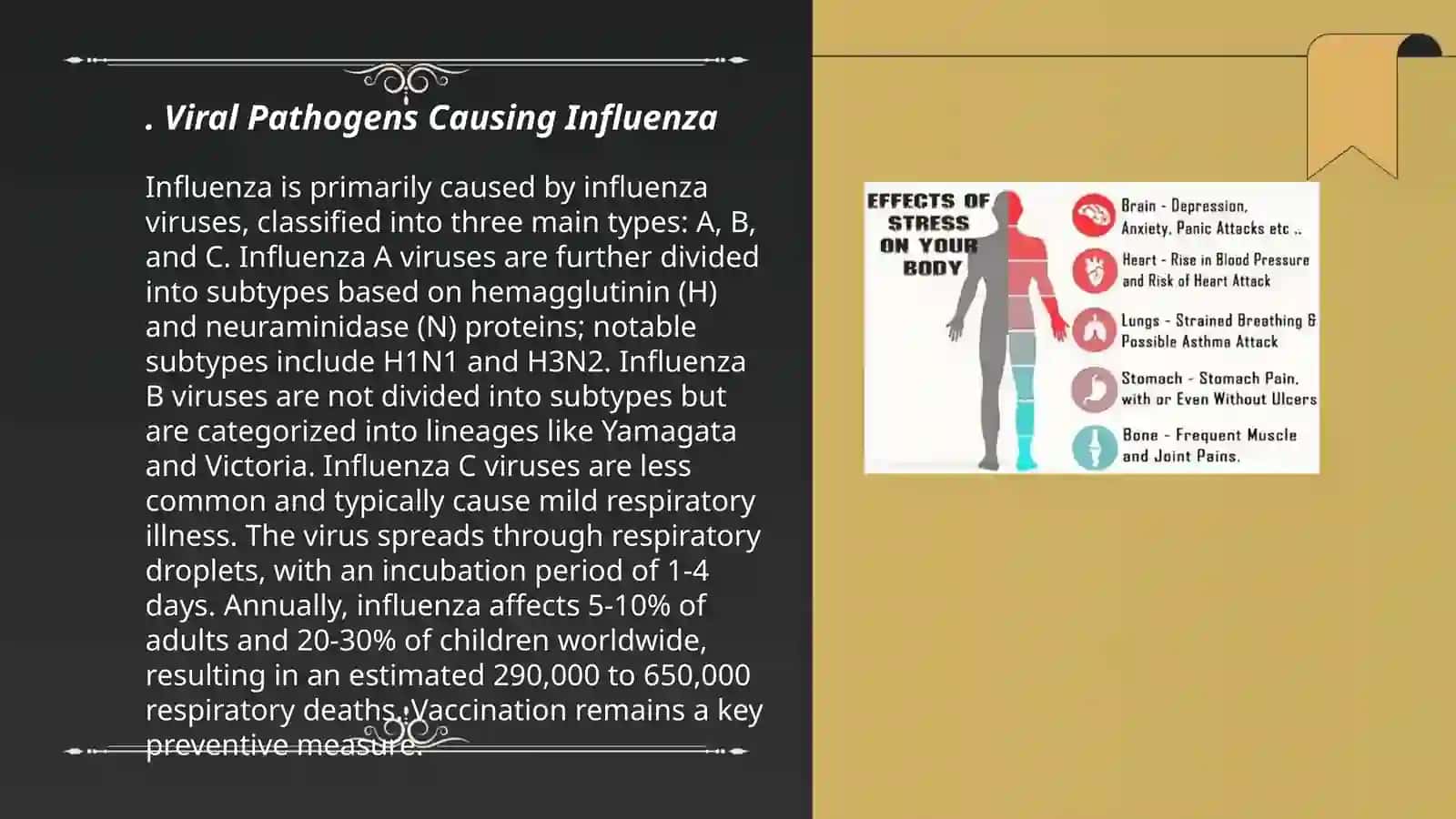Causes of influenze and its treatment 3