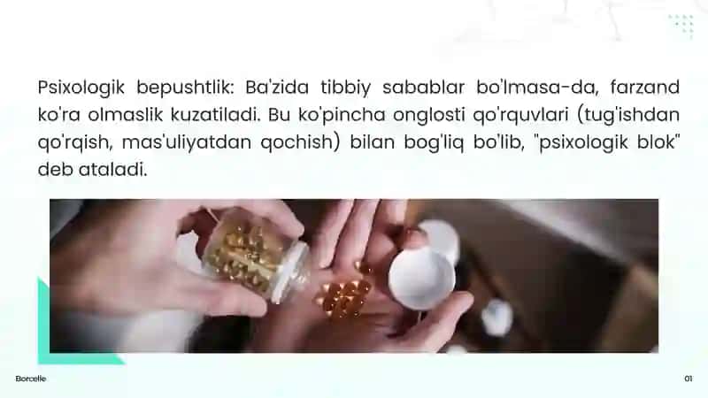 Borcelle 3