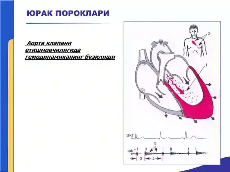 ЮРАК ПОРОКЛАРИ 3