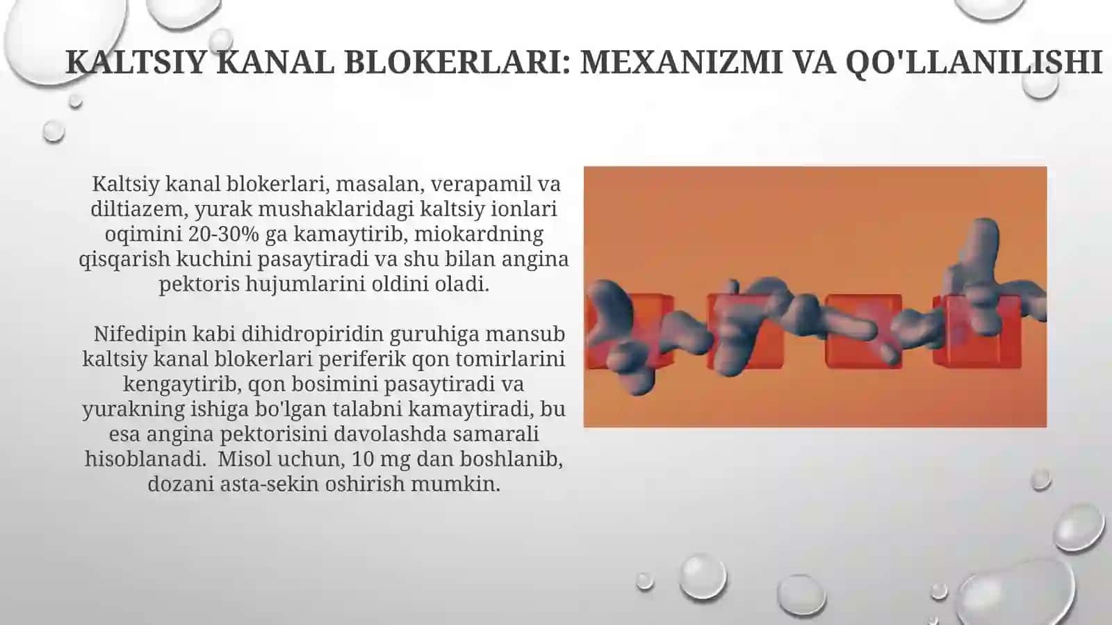 Kaltsiy kanal blokerlari: mexanizmi va qo'llanilishi 3