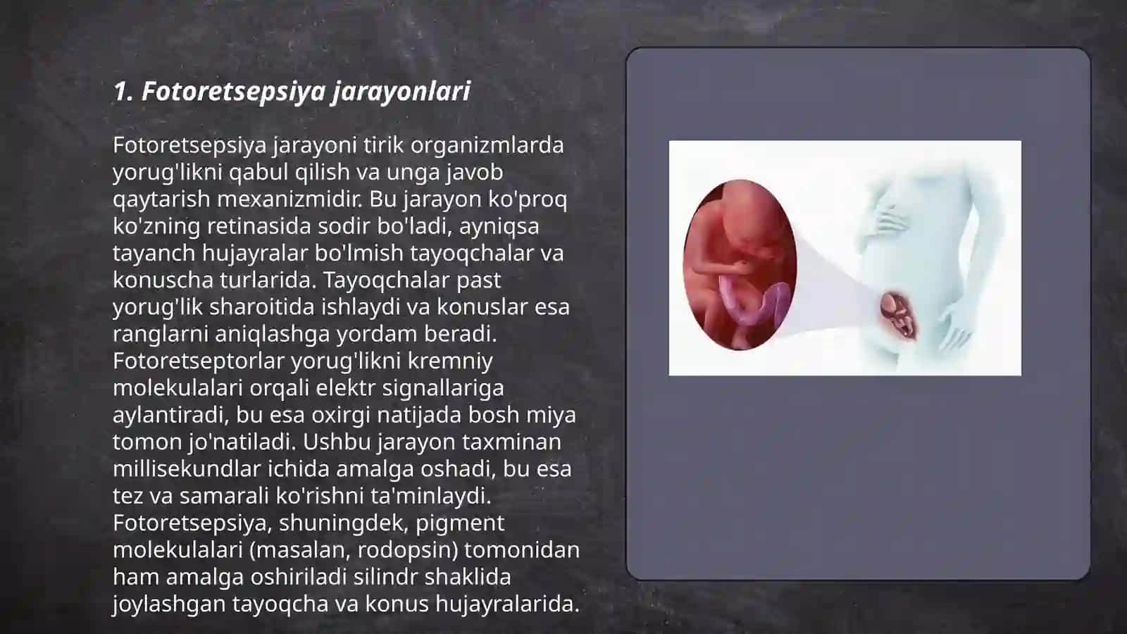 Fotoretsepsiyaning morfologik asoslari 3