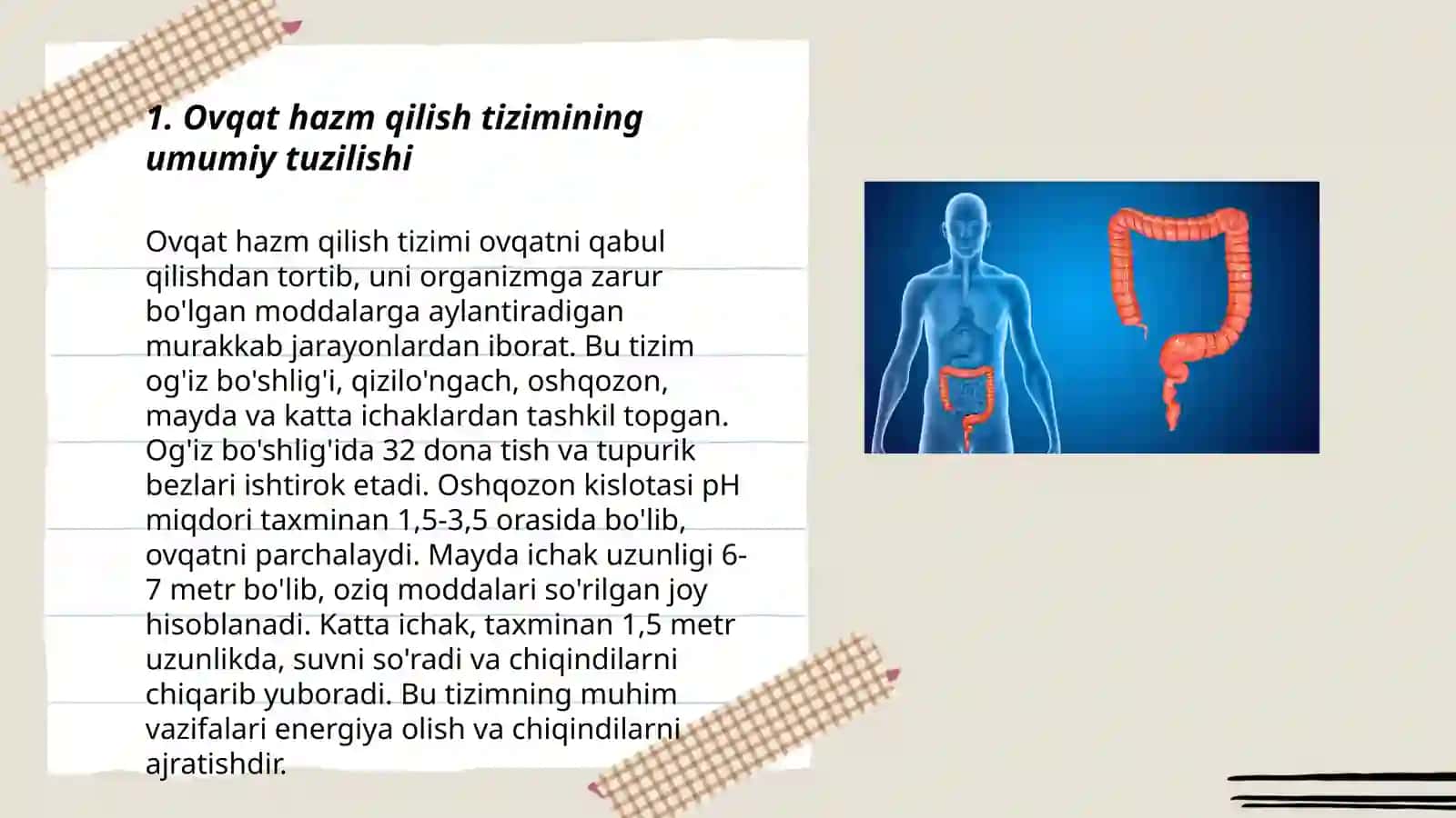 Og'izda boshlanuvchi ovqat hazm qilish jarayonining fiziologiyasi 3