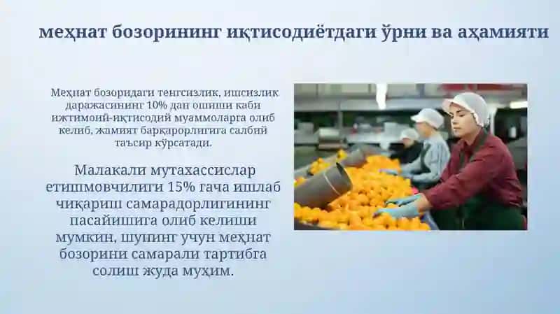 Меҳнат бозорини тартибга солиш 3