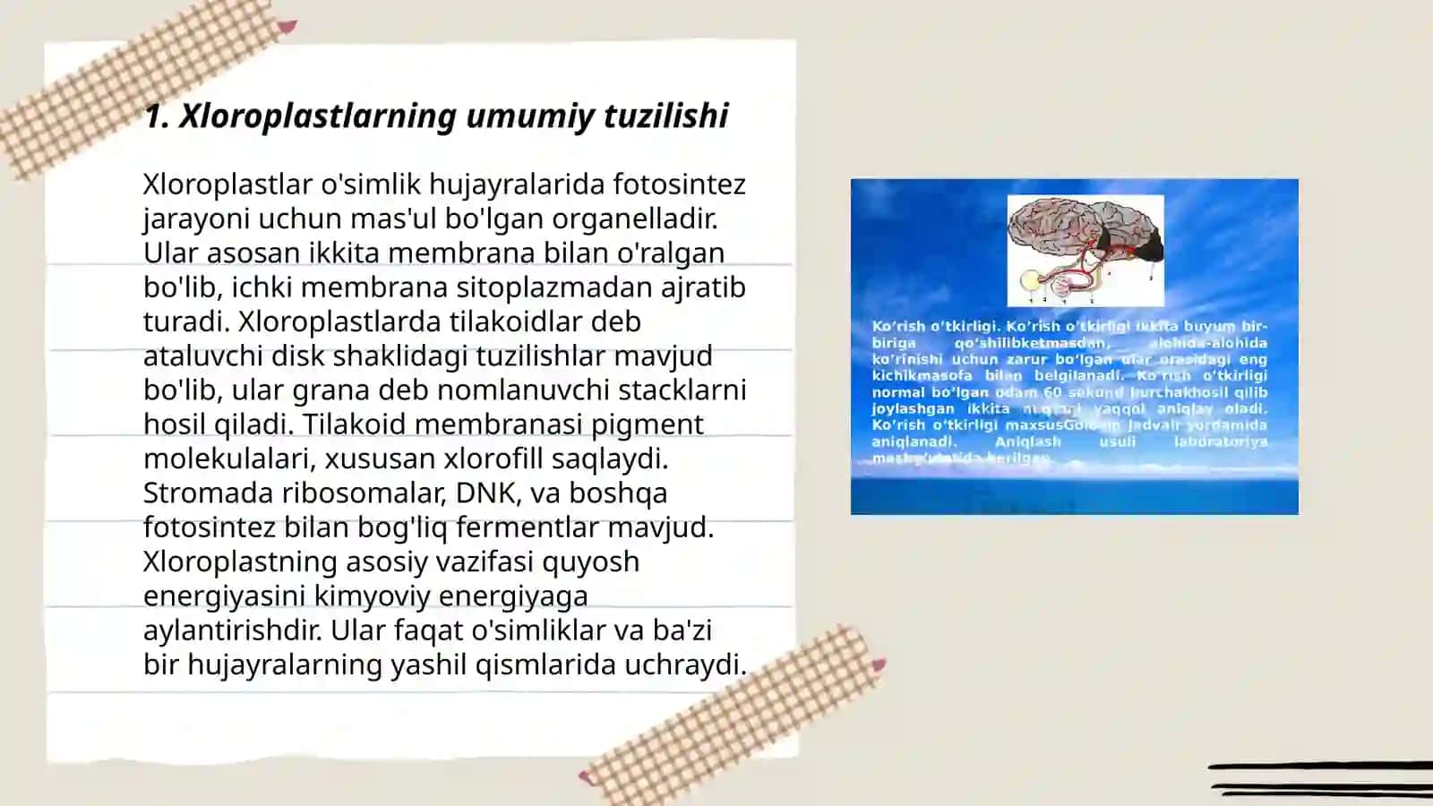 Xloroplastlarning tuzulishi va harakatlanishi 3