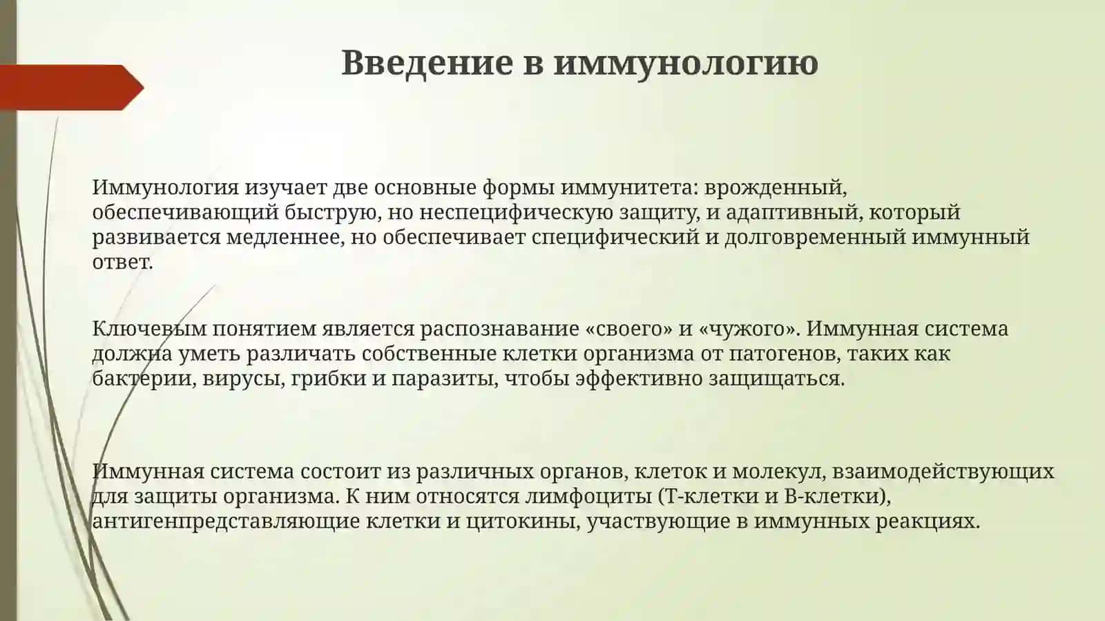 Основы иммунологии. Иммуноглобулины, классификация, функции 3