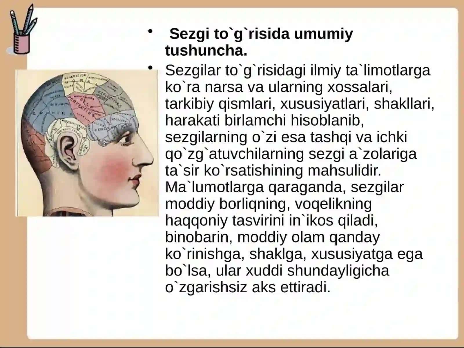 Sezgitizimlarning tuzilishi va funksiyasi 3