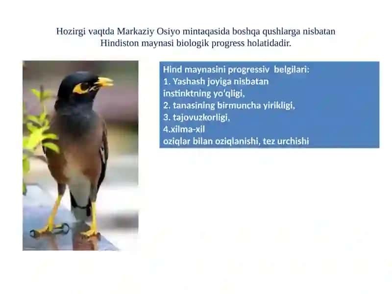 Organik olam evolyutsiyasinig asosiy yo‘nalishlari 3