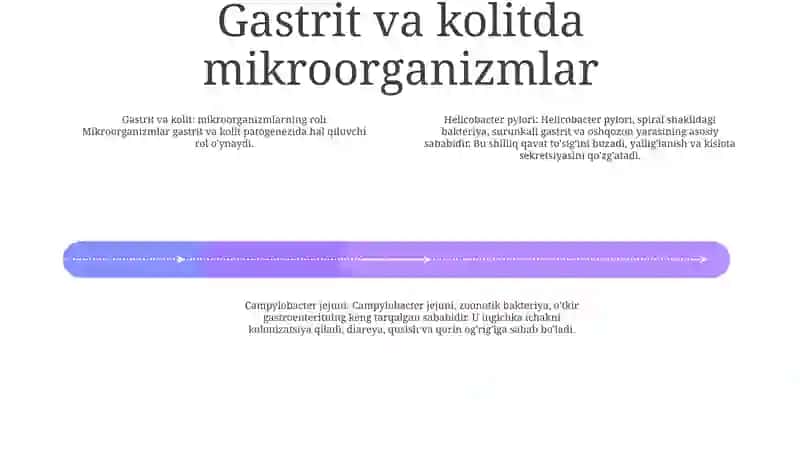 Oshqozon - Ichak Yarasi Va Kolit Kelib Chiqishida Mikroorganizmlarning Ahamiyati 3