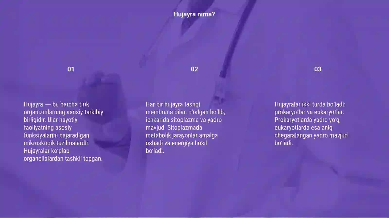 Hujayra 3