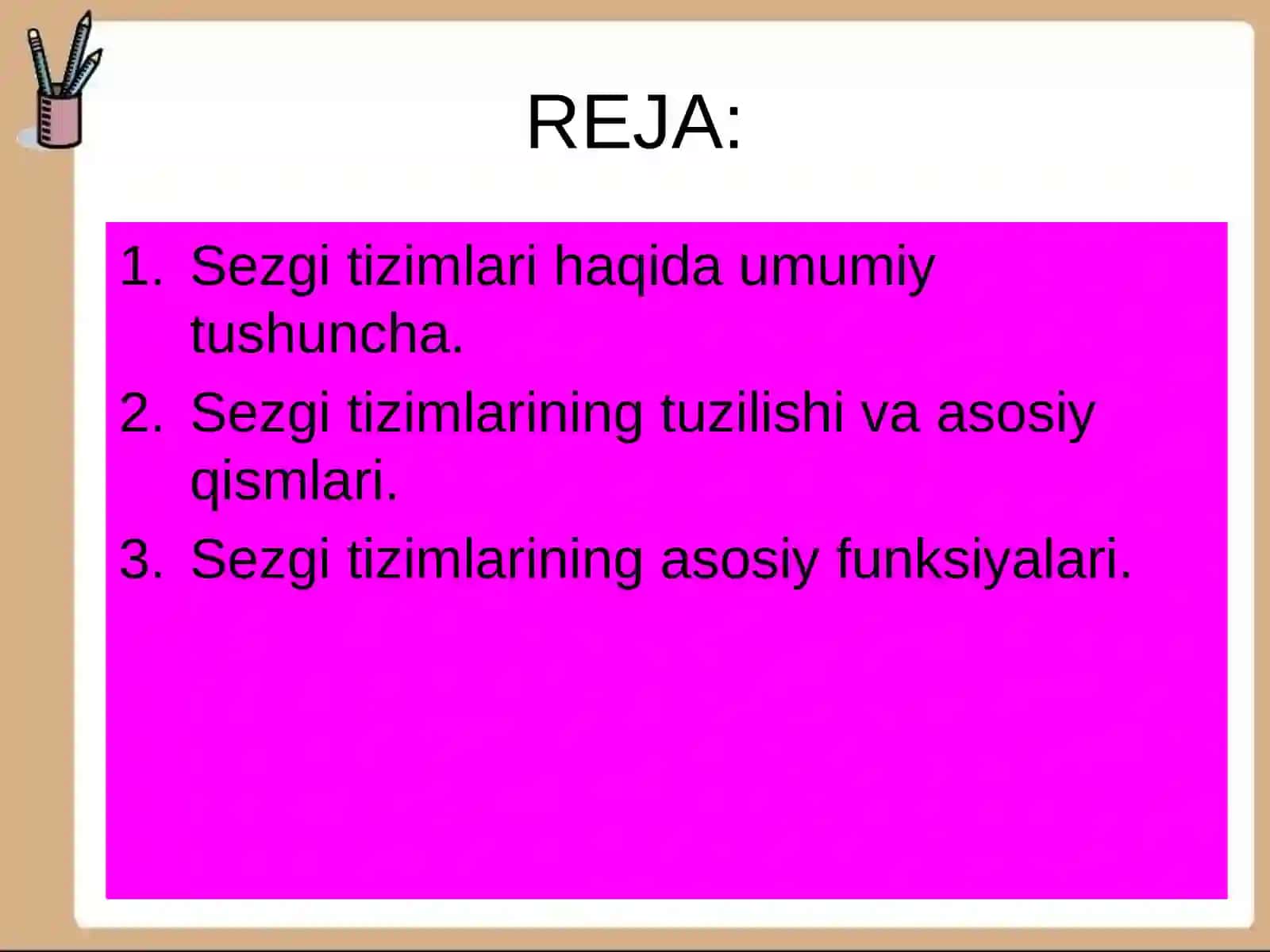 Sezgitizimlarning tuzilishi va funksiyasi 3