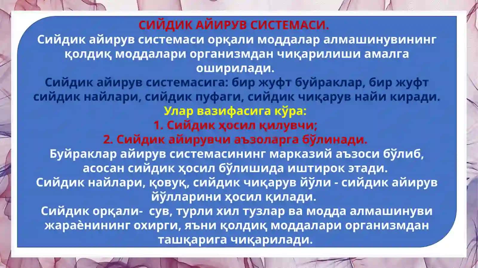 БУЙРАК ВА СИЙДИК АЖРАТИШ ТИЗИМИ АЪЗОЛАРИНИ ГИСТОЛОГИК ТУЗИЛИШИ 3