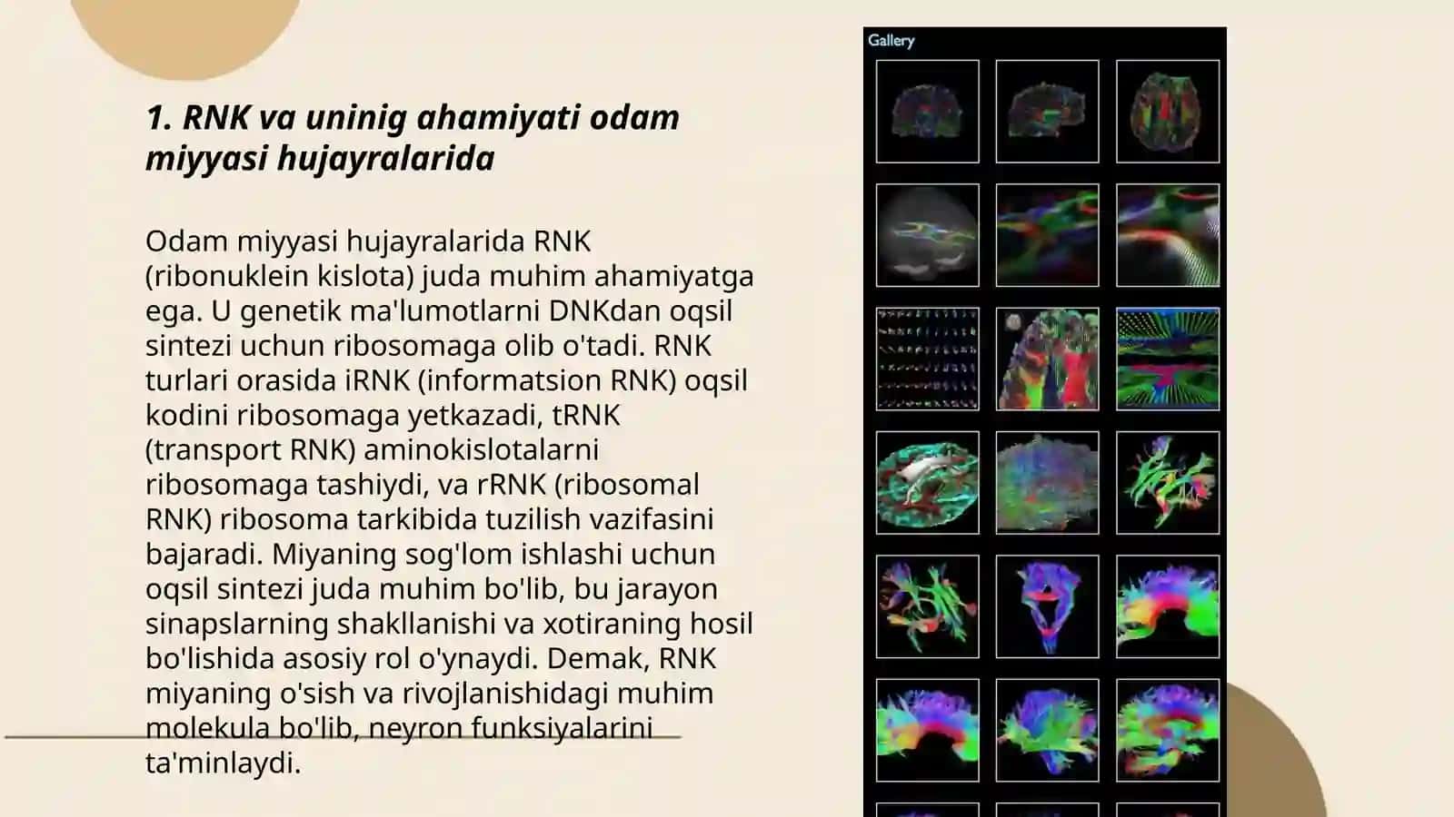 Odamlar mesolalari hujayralaridagi RNKning tahlili 3