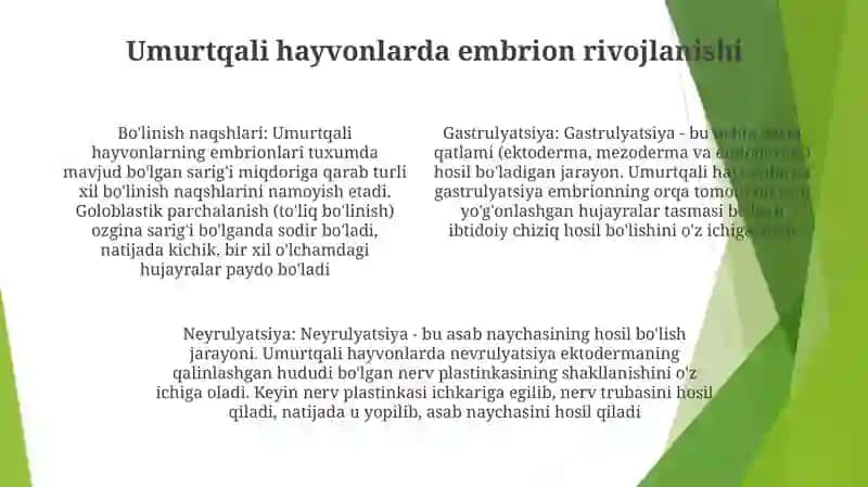 Umurtqali Va Umurtqasiz Hayvonlarning Rivojlanishi 3