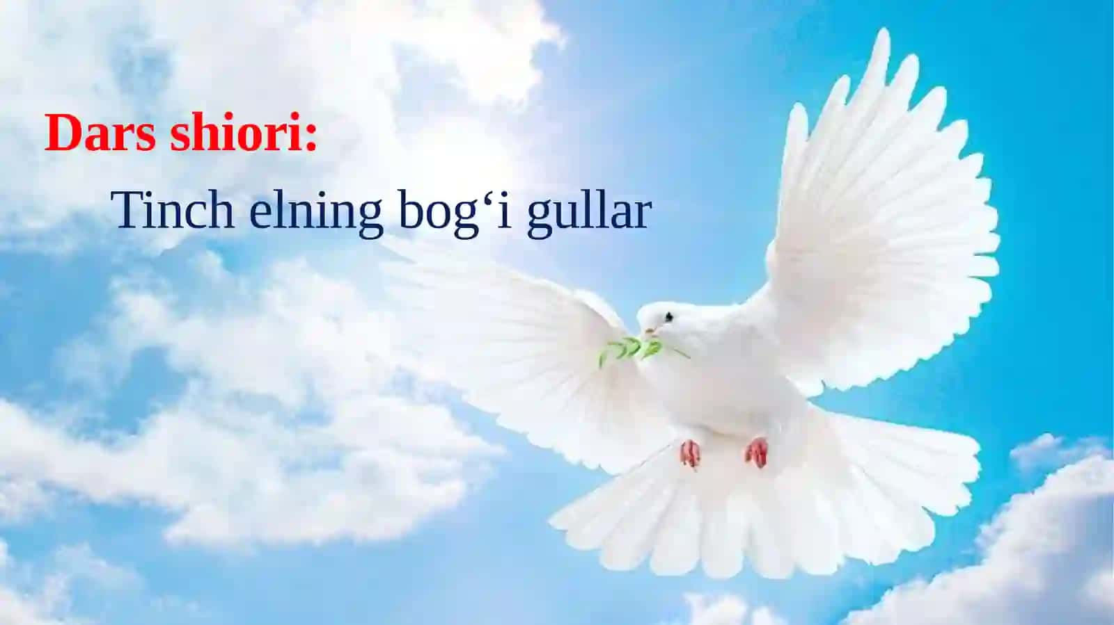 Tinchlik qushi haqida meno o'qigan she'r (Shukur Sa'dulla) 3