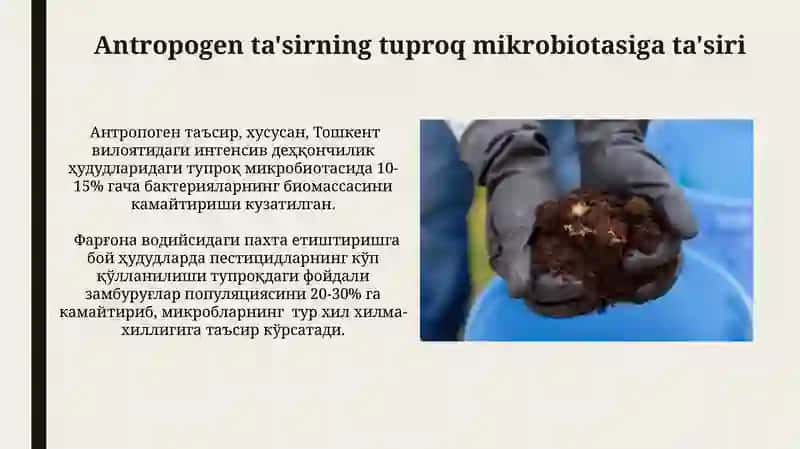 Tuproqning Mikrobiologik Holatini O‘rganish Natijalari 3