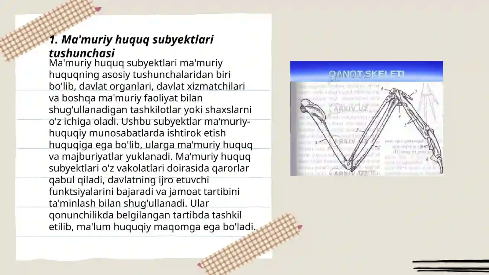 Ma'muriy Huquq Subyektlarining Umumiy Tavsifi 3