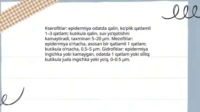 Turli yashash muhitidagi kserofit mezofit gidrofit barglarining tuzilishini solishtirish 3