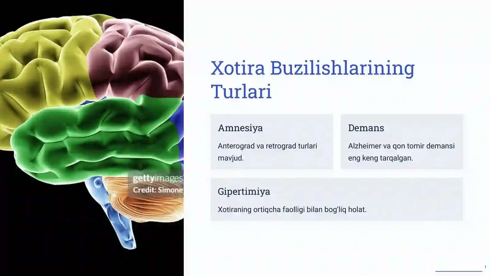 Xotira Buzilishlari 3