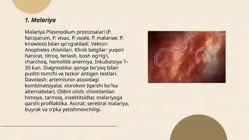Parazitorlar (sodda jonivorlar va gelmintlar) qo'zg'atuvchi kasalliklar 3